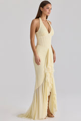 Carmine Lemon Mesh Silhouette Maxi Dress