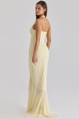 Carmine Lemon Mesh Silhouette Maxi Dress