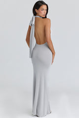 Nova Silver Grey Halter Neck Backless Maxi Dress