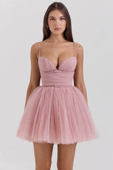 Princess French Rose Tulle Mini Dress